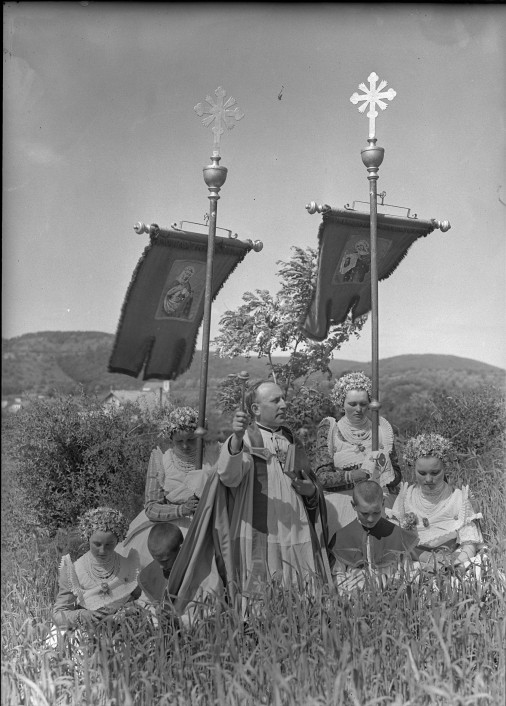 12. kép