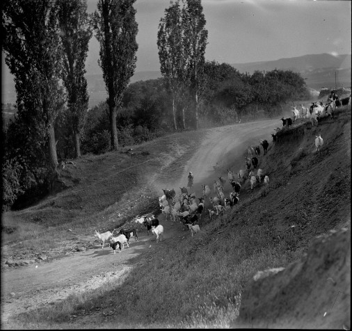18. kép