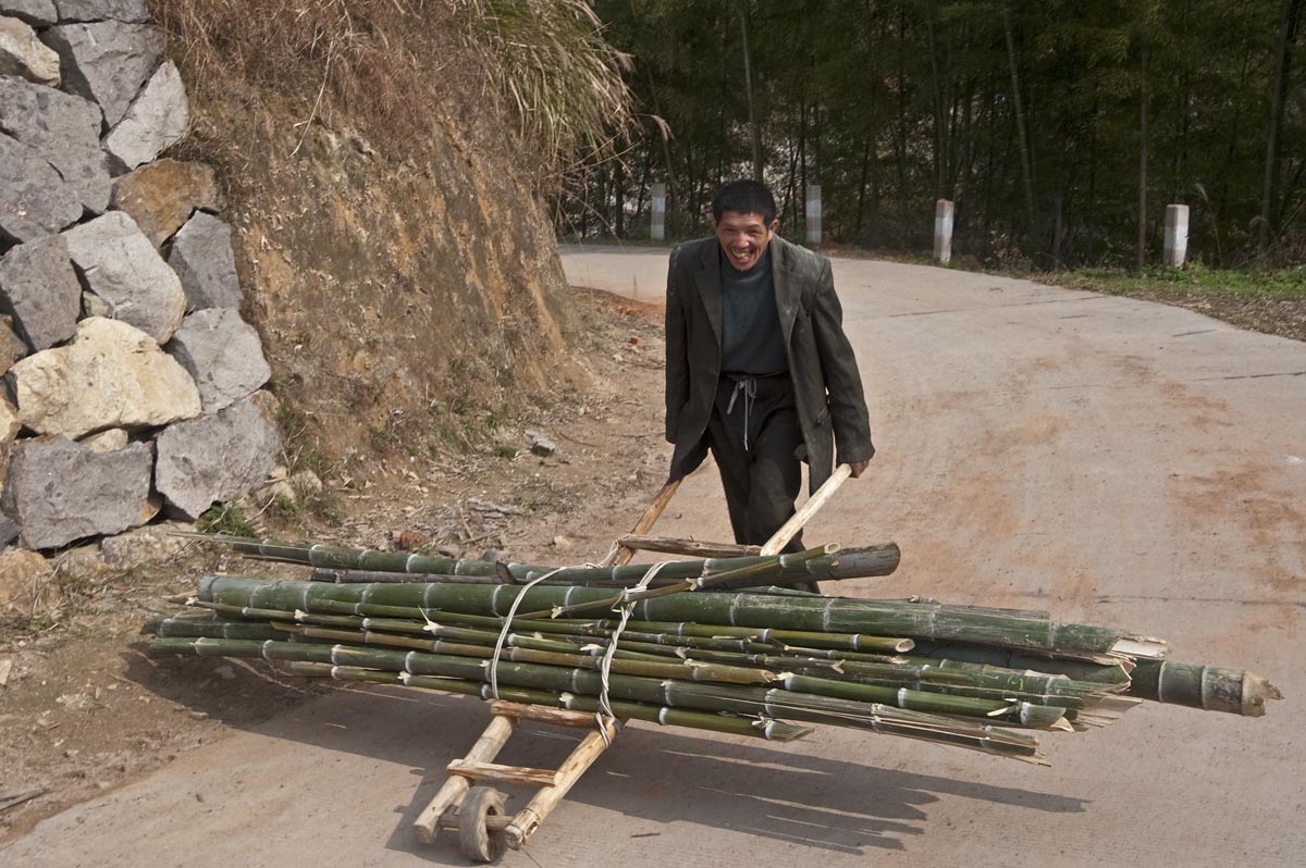 Taligán bambuszrudakat szállító férfi